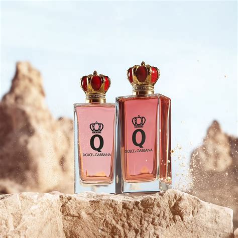 dolce gabbana q intense|dolce and gabbana q fragrantica.